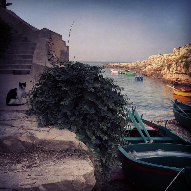 La Casetta Di Chiara B&B Polignano a Mare Exterior photo